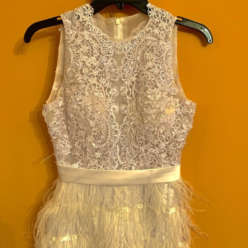 Feather and Lace Dress - Size 0-2